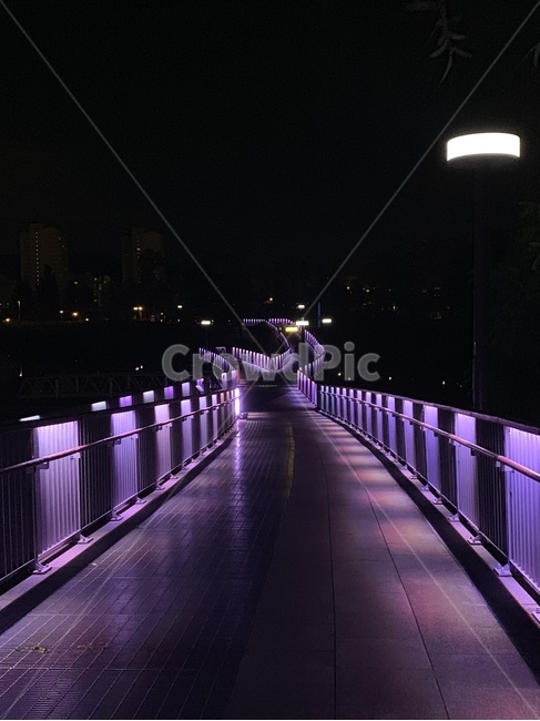 handrail,난간,banister,railing,야경,다리,산책로,불빛