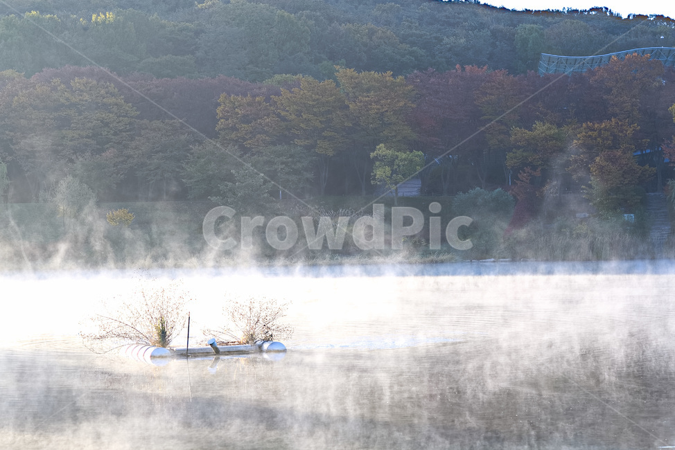 물안개,안개,가을,단풍,풍경,자연,호수,산,자연,풍경,nature,landscape