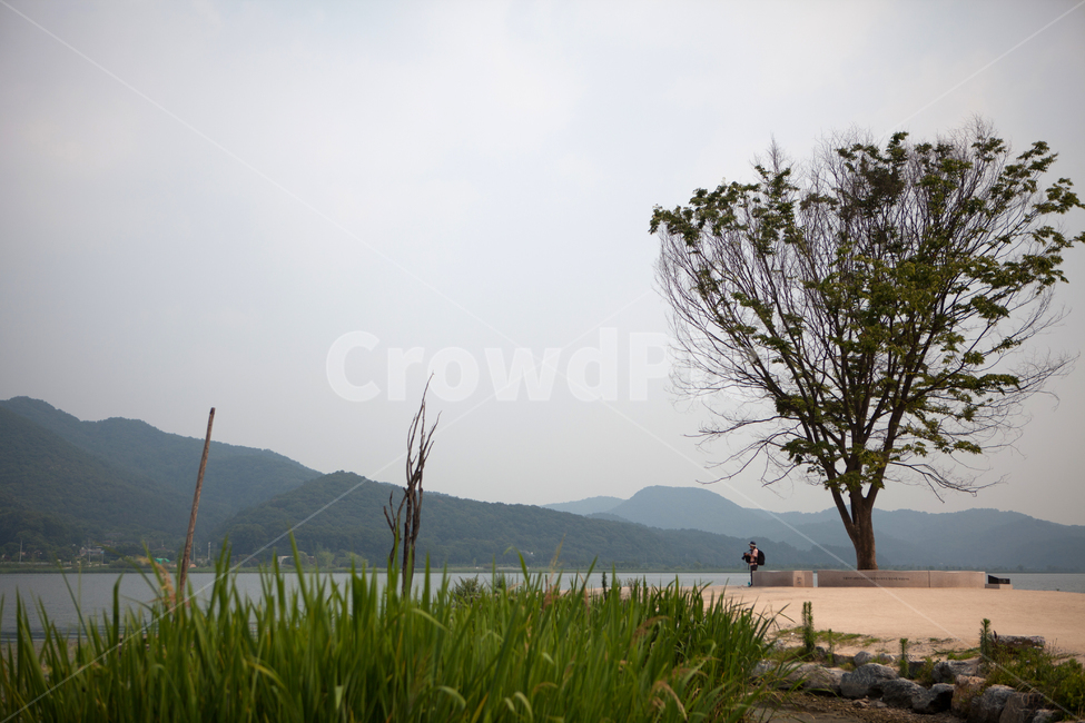 nature,outdoors,양평,두물머리,나무,풀,강,자연,봄,여름,나루터