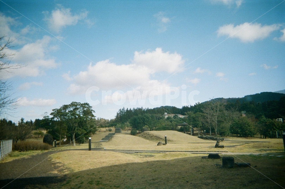 자연,아날로그,필름,편안한,추억,옛날,회상,초록,흐릿,자연,풍경,nature,landscape,field,들,outdoors,옥외,grassland,목초지