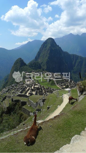 Peru,Machu Picchu,Inca,Civilization,Inca Civilization,Lost City,South America,South America,Rama,Ancient City,Old Mountain,Ancient Civilization,El Dorado,Utopia