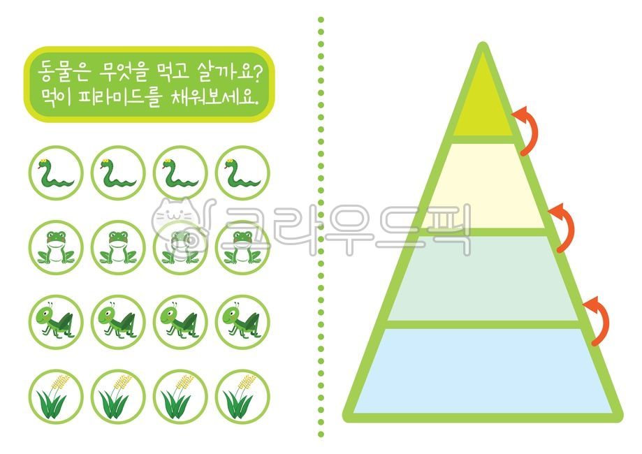 food chain,to make,Activity data,Grasshopper,Day care Center,snake,activity sheet,rice,teaching materials,frog,kindergarden,pyramid,animal,food pyramid
