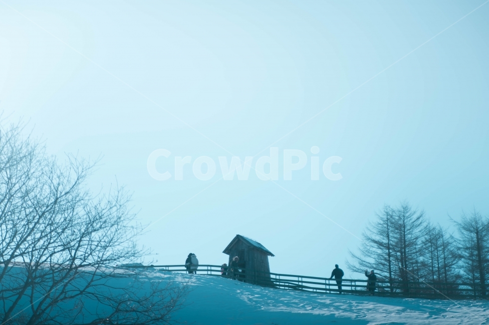 눈,덮힌,나무집,맑은하늘,강원도,snow,snowlord,farm,trip,travel,여행,국내여행,강원도여행,겨울,계절,winter,season,자연,풍경,nature,landscape,한국자연풍경,한국자연경관,korea nature landscape,감성,sensible,feeling,outdoors,옥외,person,사람,human,인간,building,건물