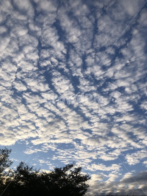 nature,자연,outdoors,cloud,cumulus,적운,날씨,sky,자연,풍경,nature,landscape,옥외,구름,하늘,weather