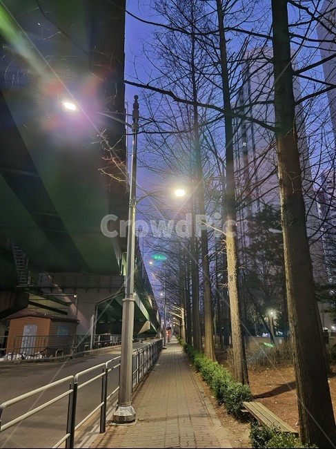 인도,도보,도림천고가교,고가,path,통로,light,빛,flare,플레어