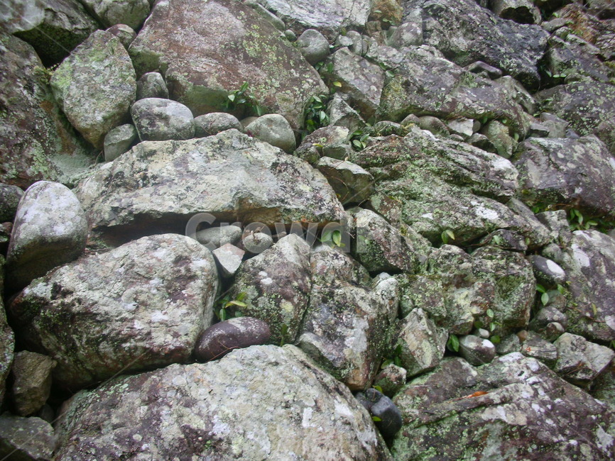 성벽,돌,이끼,stone,moss,citywall