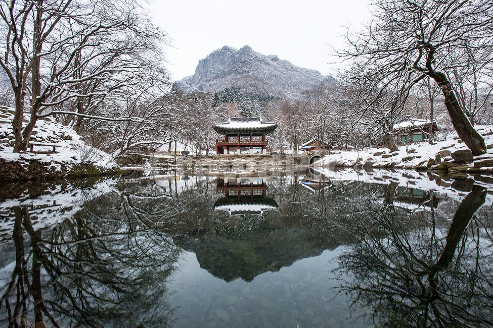 겨울,설경,반영,사찰,백양사,한국의미,reflection,winter,snowscafe,겨울,계절,winter,season,한국자연풍경,한국자연경관,korea nature landscape,한국전통,한국문화,korean traditional,korean culture,건축물,건물외관,exterior,building,structure,architecture,construction,건물,temple,신전