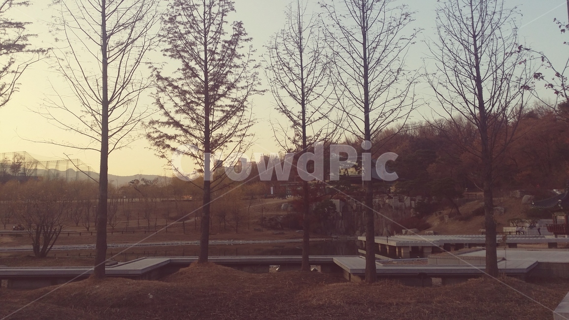 겨울,winter,tree,나무,공원,park,식물,자연,plants,nature,나무,trees,wood