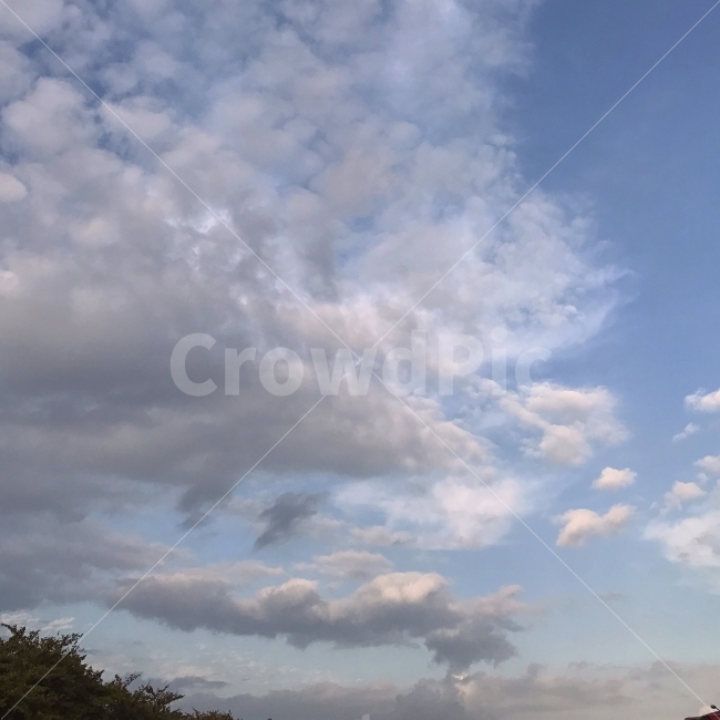 하늘,구름,맑음,감성,분위기,자연,풍경,nature,landscape,weather,날씨,outdoors,옥외,sky,cloud,cumulus,적운