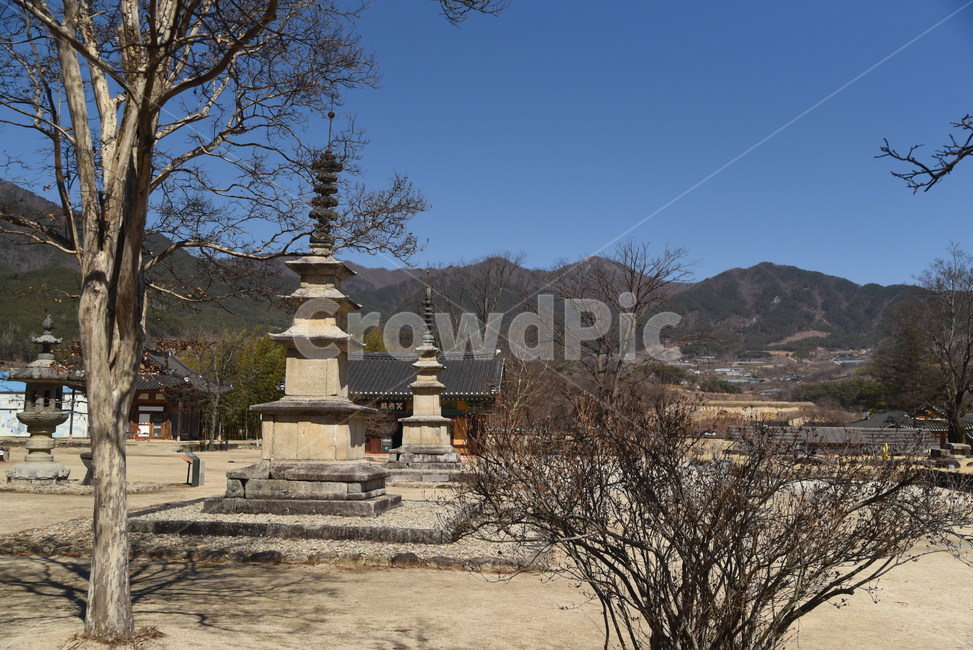 실상사,삼층석탑,쌍탑,문화재,보물,기념물,사찰,절,건축물,temple,architecture,bulding