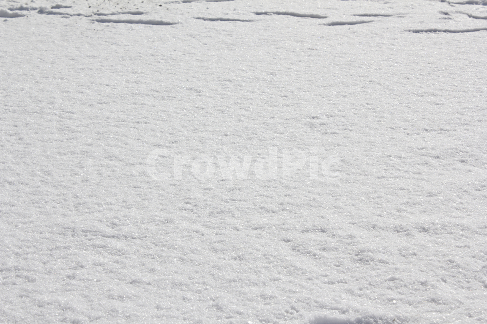 겨울,눈,눈밭,스노우,눈길,눈쌓인,폭설,자연,snow,흰색,화이트,하얀색,표면,겨울,계절,winter,season