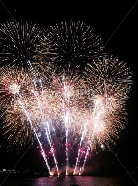 불꽃,불꽃놀이,불꽃축제,밤,한강,순간,아름다움,화려함,화려한,열정,색채,색깔,색,빛,행사,축제,firework,light,night,festival,color,colorful,beautiful,야경,밤,풍경,nightscape,night,landscape,축제,행사,festival,carnival,event,nature,자연,outdoors,옥외
