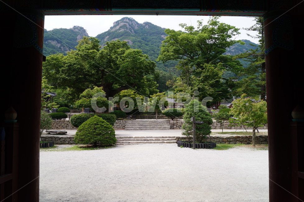 풍경,내소사,나무,절,사찰,자연,자연,풍경,nature,landscape,한국자연풍경,한국자연경관,korea nature landscape,한국전통,한국문화,korean traditional,korean culture,outdoors,옥외,garden,정원,arbour,정자