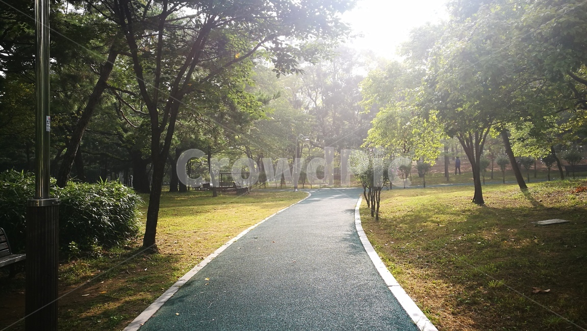 햇살,공원,나무,햇빛,맑은날,자연,풍경,nature,landscape,휴식,힐링,rest,relaxation,healing,asphalt,아스팔트