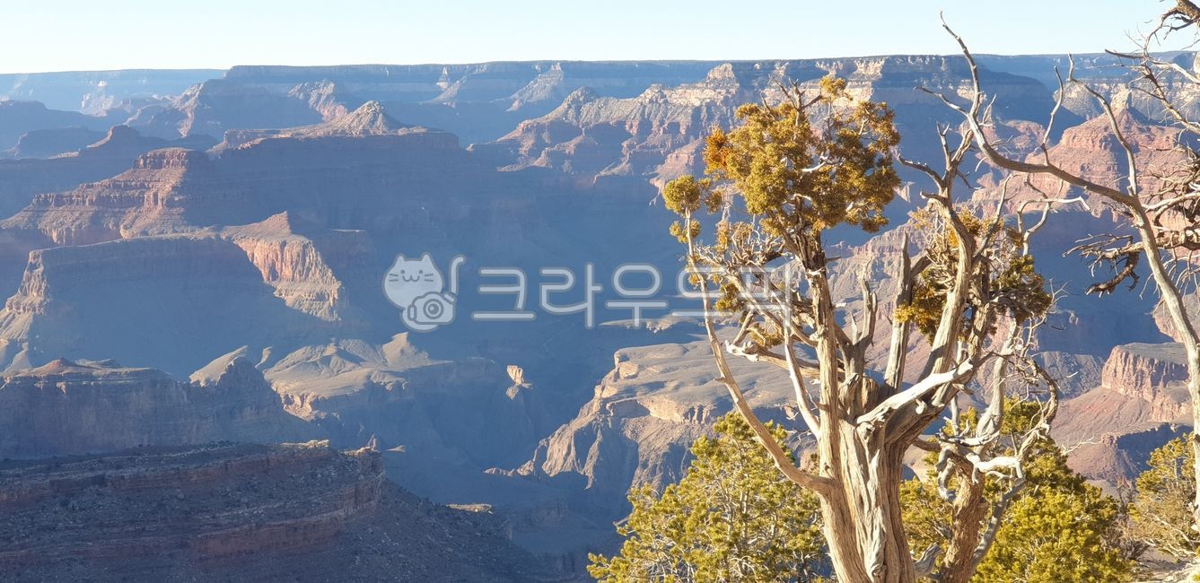USA,nature,Valley,gorge,grand canyon
