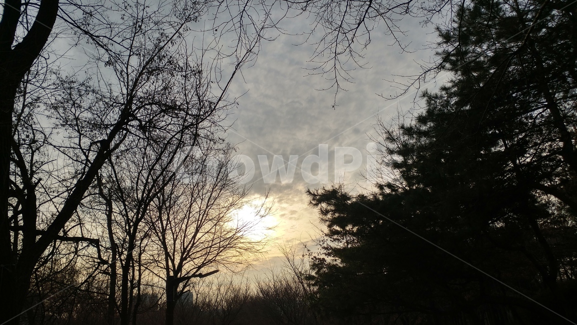 노을,해질녘,분위기,일몰,빛,명상,힐링,실루엣,그라데이션,휴식,sunset,감성,healing,어스름,풍경,해질무렵,해질녁,저녘노을,구름,운치,해,하늘,구름낀,흐린,고요함,저녘하늘,sky,어두운,해질때,저녘무렵,저녘풍경,그림자,쉼,배경,산,쓸쓸함,색감,하늘색,나무,자연,자연,풍경,nature,landscape,outdoors,옥외,flare,플레어,light,silhouette