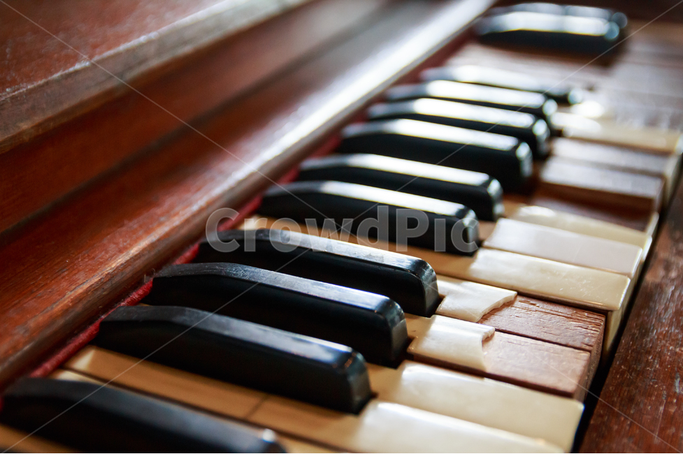 피아노,건반,오르간,검은건반,흰건반,망가진,오래된,골동품,빈티지,레트로,추억,회상,기억,복고,검은색,목재,감성,감성사진,오브젝트,악기,건반악기,과거,빈티지사진,빈티지느낌,빈티지감성,vintage,악기,음향기기,musical instrument,musical equipment