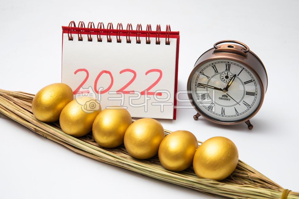 egg,wealthy,time is money,hope,tight,qnwkehltpdy,new year golden year,2022calendar,jackpot,golden,property,1lyearyplan,text,savings,newyeardream,plan,new year,newyeargoldenyear,golden rich,getrich,time is Its gold,new year savings,clock,lmlnnyeon,good luc