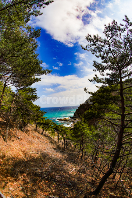 바다,산,바다부채길,관광지,동해,sea,하늘,숲,plant,식물,tree,나무,자연,풍경,nature,landscape