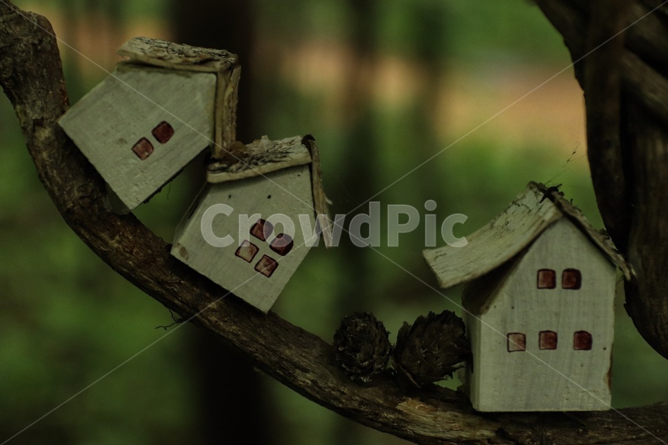 나뭇가지,미니어쳐,집,branch,house
