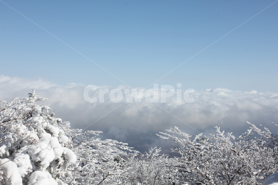 nature,자연,outdoors,옥외,snow,눈,제주도,산,겨울,풍경,겨울,계절,winter,season,자연,풍경,nature,landscape