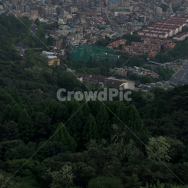 산,나무,숲,건물,풍경,서울풍경