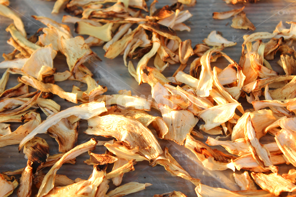 양파,말린,말린양파,식재료,yellow,food,음식,dry,dried,야채,채소,onion,vegetable,건조,말리기,건조양파,널어놓은,음식,식재료,요리,food,cook,meal,dishes,food reserves,채소,야채,vegetables