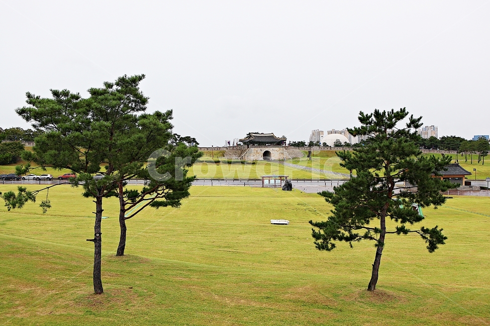 수원화성,성,성곽,길,둘레길,돌담,담,가을,자연,풍경,벽,방어벽,흙담,식물,전통,한국전통,한국문화,korean traditional,korean culture