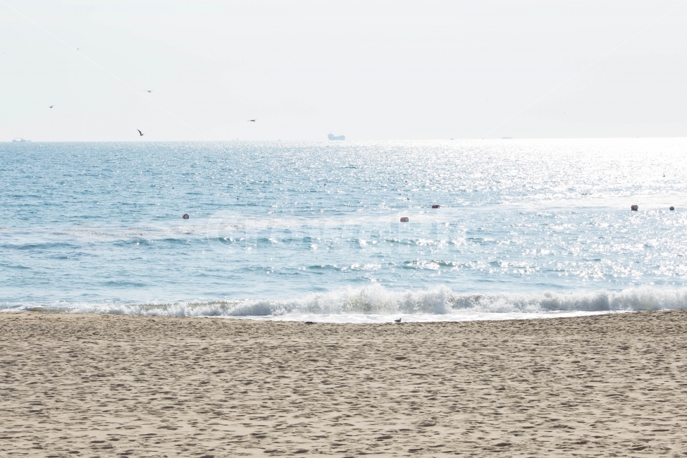 자연풍경,겨울,바다,해운대,파도,자연,풍경,nature,landscape,해변,바다,beach,sea,ocean,대양,water,물,outdoors,옥외