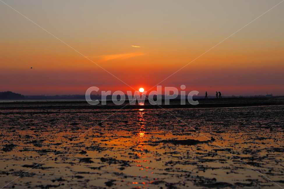 바다,sea,갯벌,mudflat,바닷물,썰물,밀물,조개,소라,게,생물,전망대,산책,하늘,구름,서해,간조,만조,채집,관찰,해변,석양,해수욕장,낙조,노을,빨강,갈매기,자연,풍경,nature,landscape