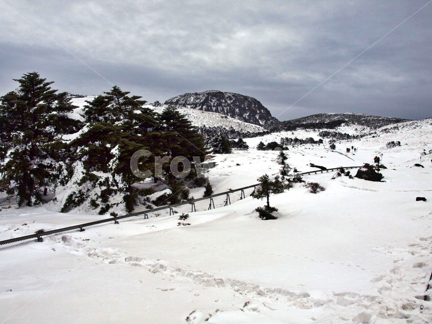 어리목,제주도,한라산,설경,겨울,설화,겨울산,눈,백록담,겨울,계절,winter,season,자연,풍경,nature,landscape,tree,나무,plant,식물,fir,전나무