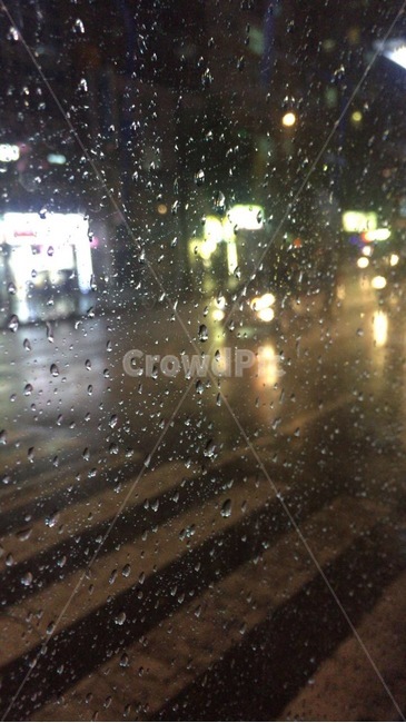 light,비,rain,날씨,버스