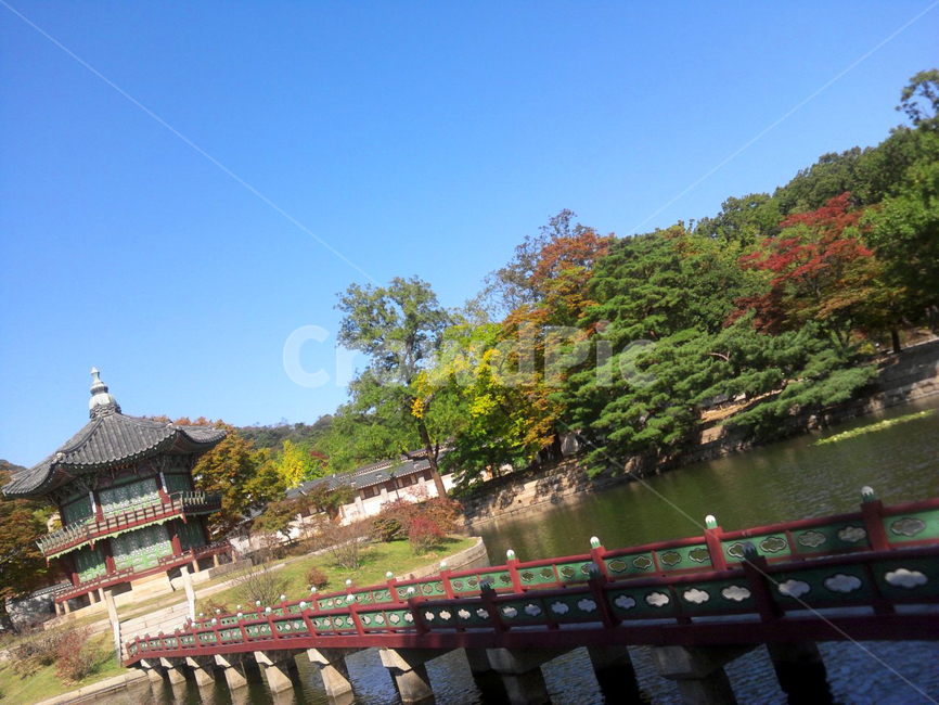전통,궁궐,경복궁,전통정원,향원정