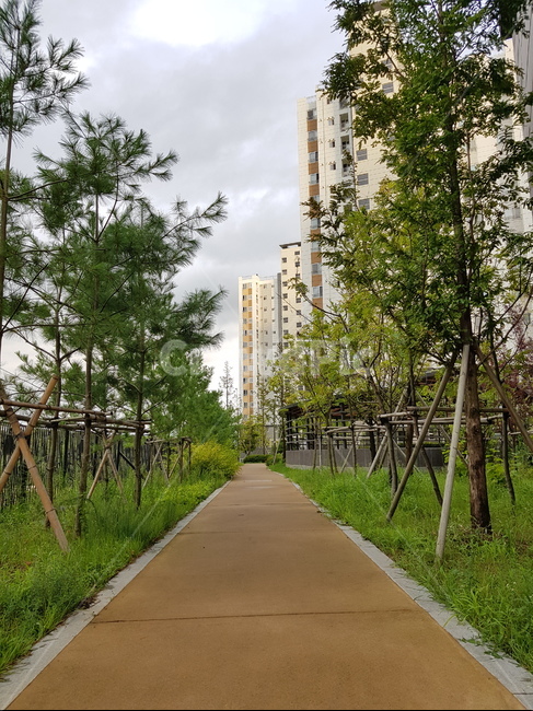 산책,아파트,길,원근,통로