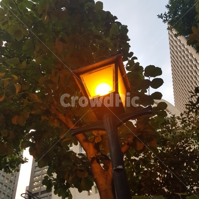 가로등,불켜진가로등,낮가로등,조명,불빛