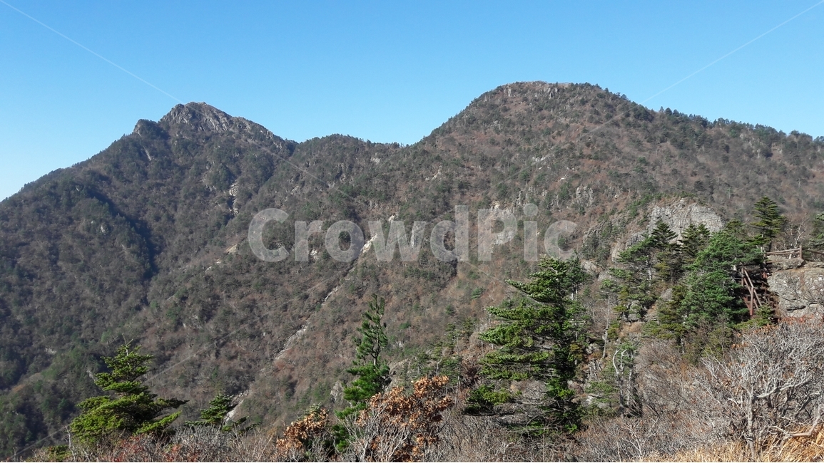 지리산,천왕봉,산,고사목,가을,국립공원,자연,풍경,nature,landscape,한국자연풍경,한국자연경관,korea nature landscape,slope,경사,outdoors,옥외