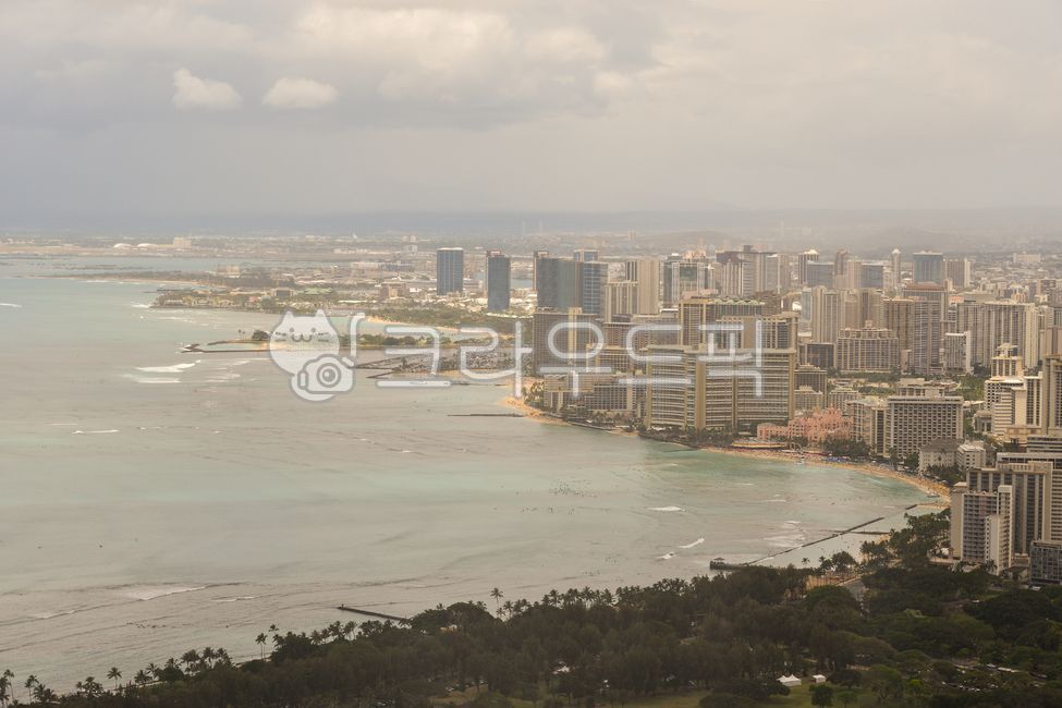 하와이,호놀룰루,바다,바닷가,해변,빌딩,도시,중심지,옥외,나무,하늘,구름,해외,외국