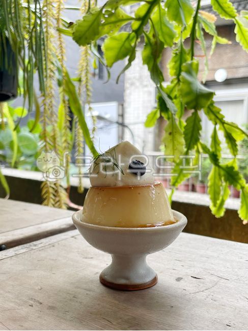 Pudding,dessert,cafe menu,snack,cream pudding,panna cotta,cafe