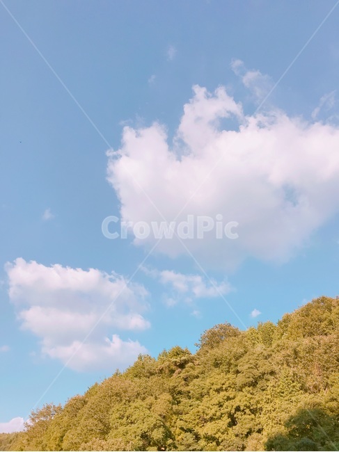하늘,산,풍경,나무,감성,배경