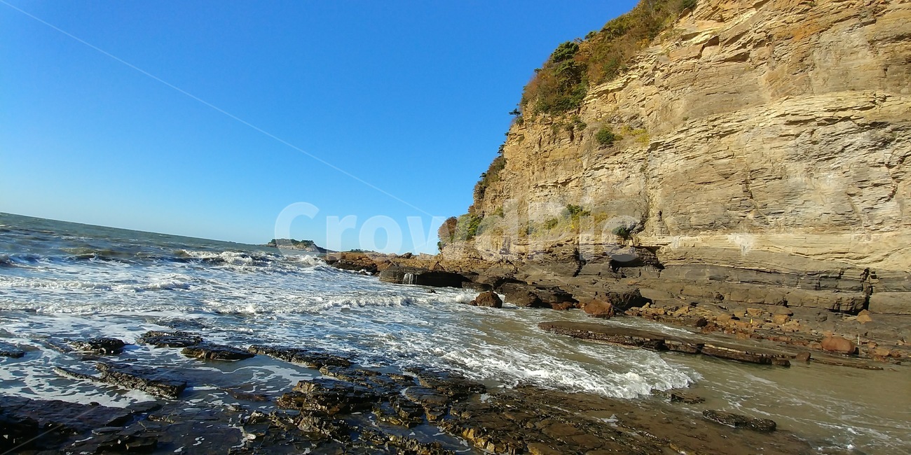 바다,나무,갯바위,여유,힐링,자연,풍경,nature,landscape,한국자연풍경,한국자연경관,korea nature landscape,제주도,jeju,jeju island,promontory,곶,outdoors,옥외,cliff,낭떠러지