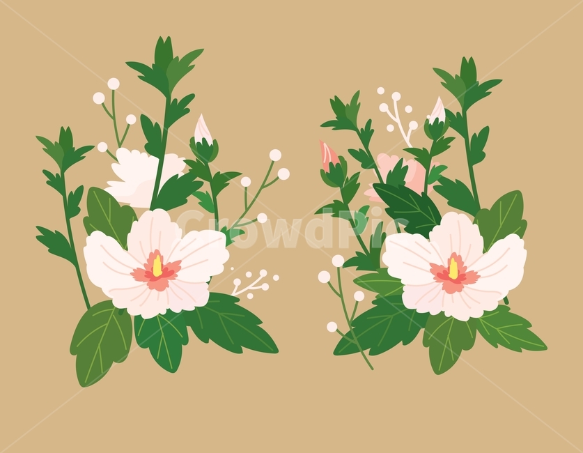 symbol,pink,hand drawing,tree,leaf,flower,korea,White,Chrysanthemum,flower bud,plant,Rose of Sharon,illustration,vector,decoration,design source