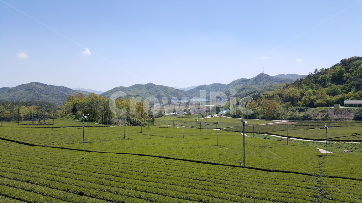 nature,자연,field,들,outdoors,grassland,countryside,농촌,평화로운느낌,봄,시골,마을,풍경,landscape,country,rural,town