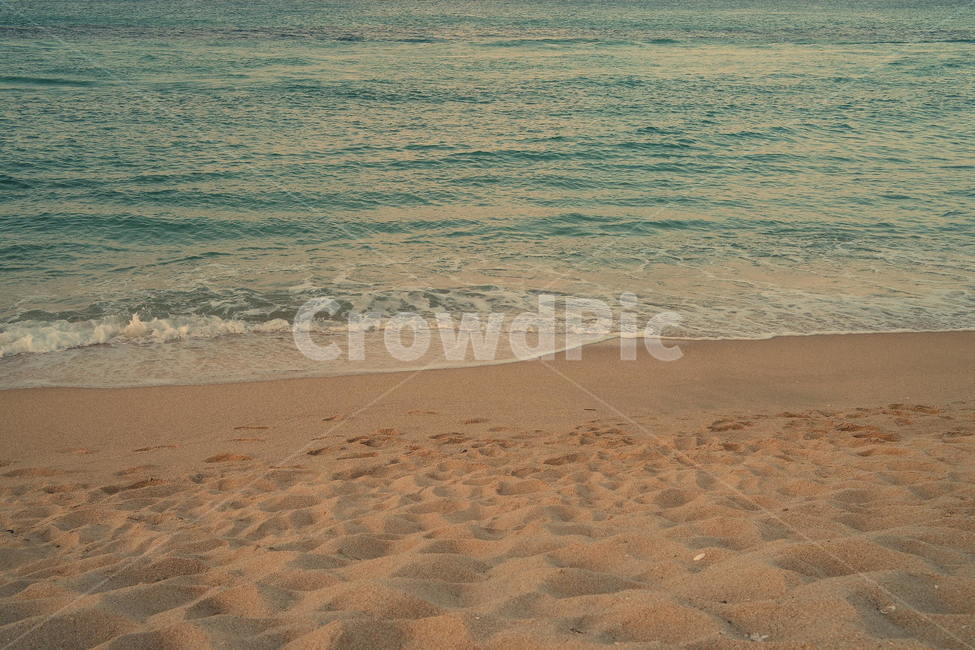 자연,soil,흙,모래,바다,해안가,sea,해변,바다,beach,sea
