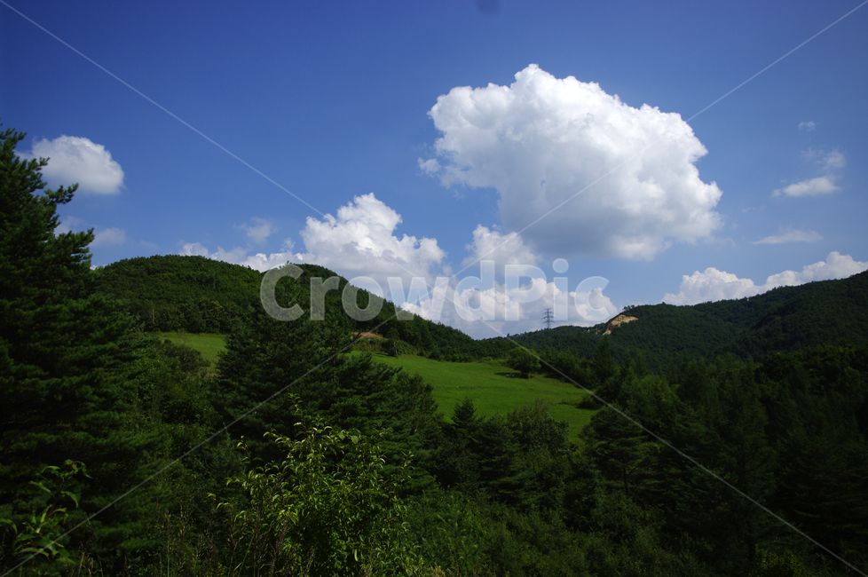 구름,식물,풍경,하늘,초록,여름,자연,nature