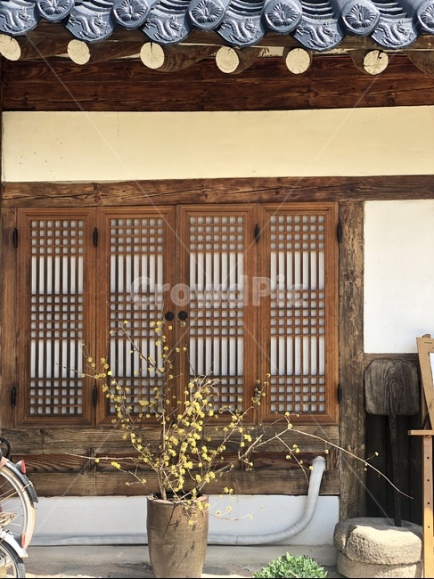 봄,spring,한옥,hanok,korea