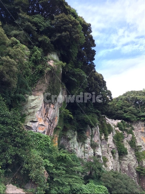 제주도,폭포,나무,절벽,산,자연,풍경,nature,landscape,cliff,낭떠러지,outdoors,옥외