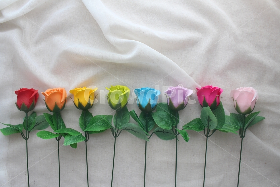 비누꽃,알록달록,조화,flowers,장미,비누장미꽃,bubbleflowers,꽃,flower