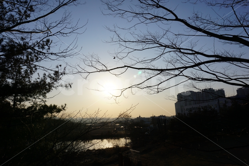 풍경,대학,하늘,노을,파랑,주황,나무,나뭇가지,나뭇잎,강,아마추어,햇빛,역광,자연,풍경,nature,landscape,light,빛,flare,플레어,outdoors,옥외