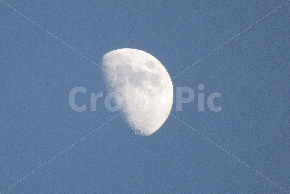 하늘,달,파랑,초저녁,상현달,자연,풍경,nature,landscape,astronomy,천문학,space,우주,universe,outdoors,옥외,night,밤,moon,outer space,대기권 밖