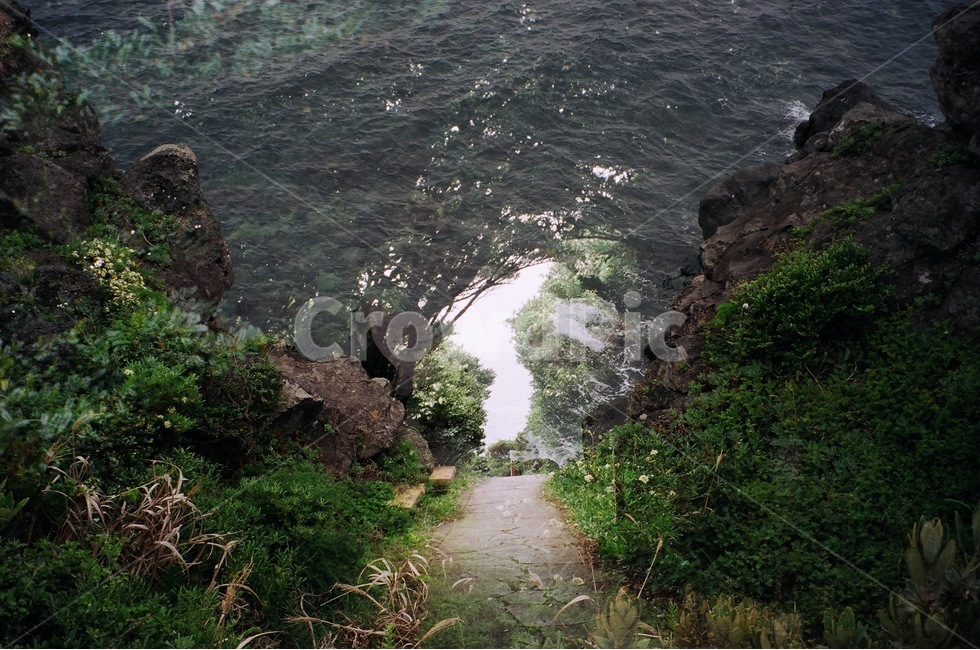 제주도,남원큰엉,한반도,숲,대한민국,다중노출,필름,필름사진,자연,풍경,nature,landscape,outdoors,옥외